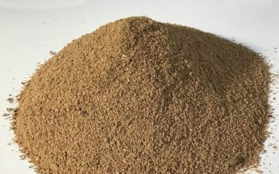 LES GRAINES DE LIN EXTRUDEES
