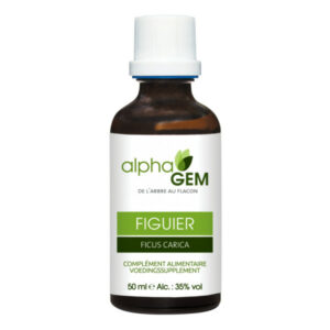 Extrait de bourgeon de figuier 50ml