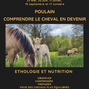 1eme Journée Ethologie et nutrition du poulain dimanche 20 juin 2027