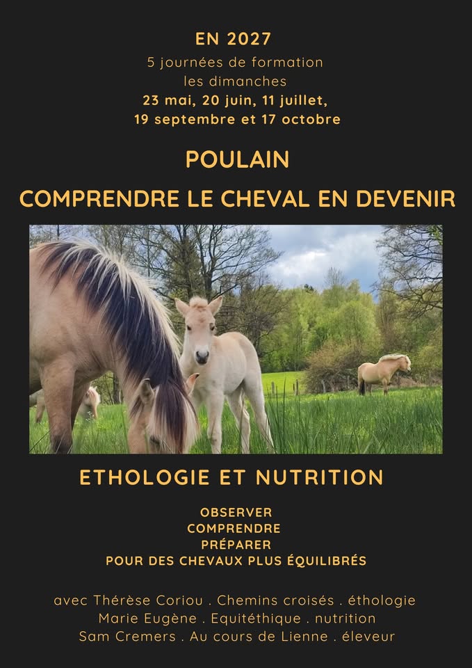 1er Journée Ethologie et nutrition du poulain dimanche 23 mai 2027